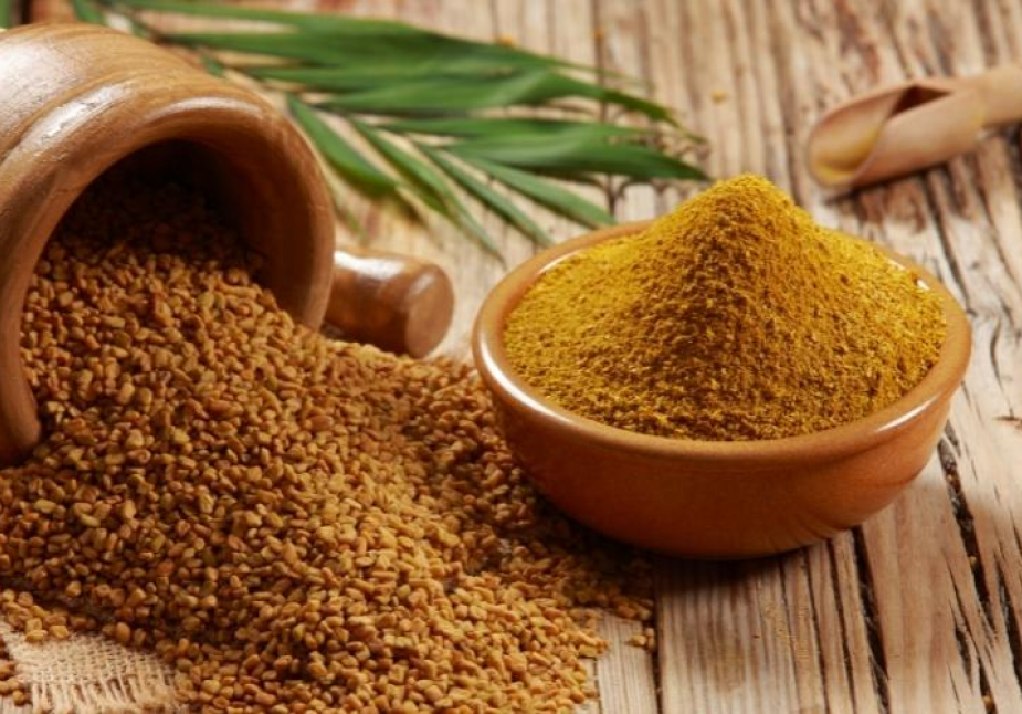 CỎ CA RI - CHÌA KHÓA NÂNG CAO NĂNG SUẤT CHĂN NUÔI